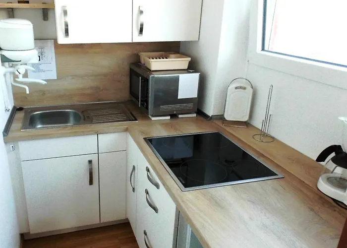 91 Whg C 19 In * 布尔哈沃